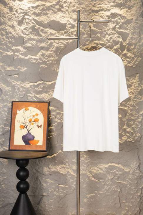 Dior T Shirts Short _SKUDiorS-XLxetr31015587